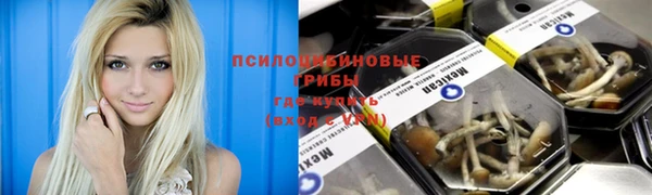 мдма Новодвинск