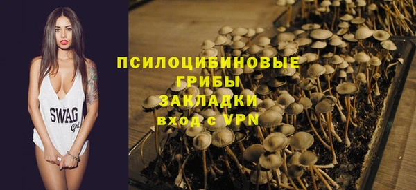 мдма Новодвинск