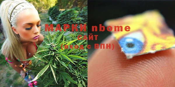 хмурый Нея