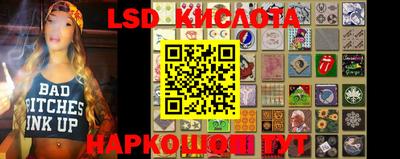 2c-b Кингисепп