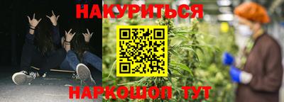 2c-b Кингисепп