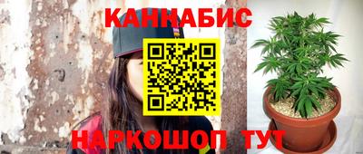 2c-b Кингисепп