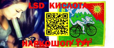 2c-b Кингисепп
