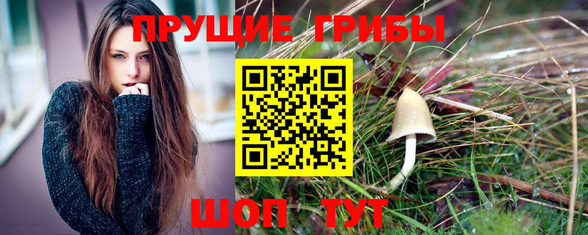 Псилоцибиновые грибы Magic Shrooms  магазин продажи наркотиков  Вход с VPN  Муравленко  Псилоцибиновые грибы GOLDEN TEACHER 