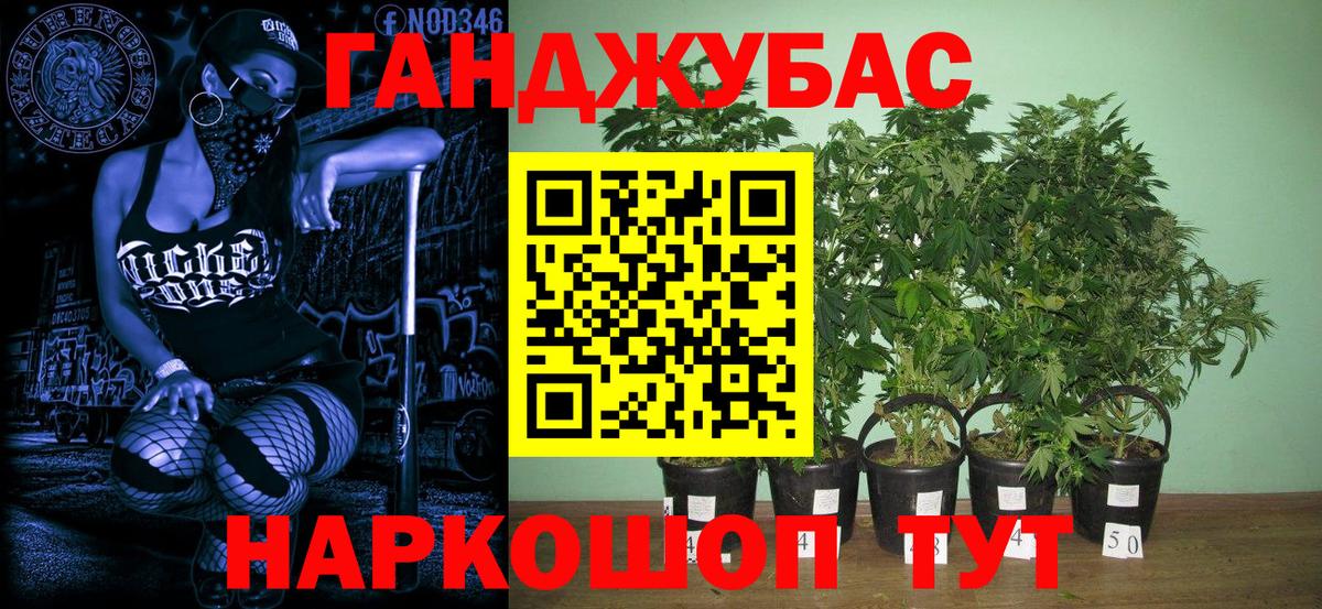 Бошки Шишки Amnesia Муравленко